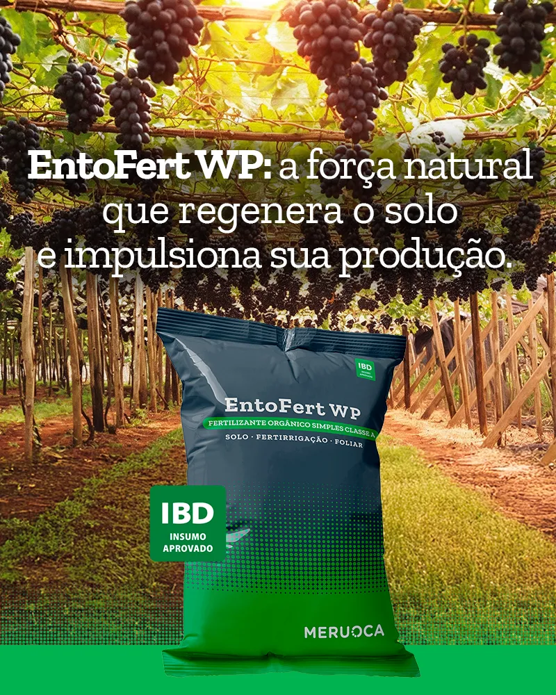 EntoFert WP: a força natural que regenera o solo e impulsiona sua produção 2