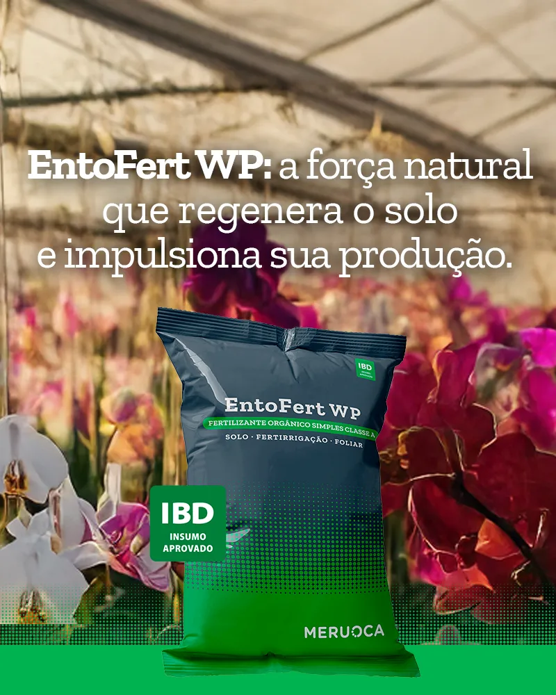 EntoFert WP: a força natural que regenera o solo e impulsiona sua produção 3